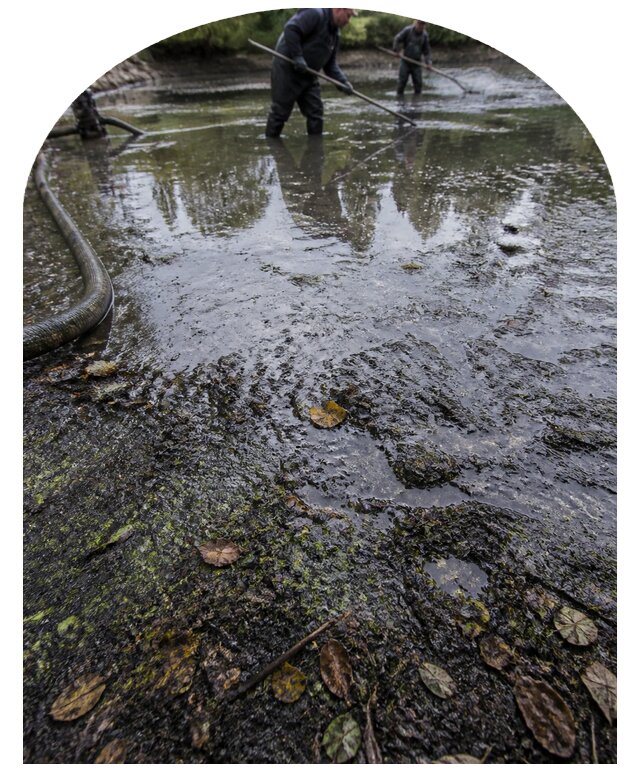 Очистка пруда в Канаше от ила мусора и водорослей с вывозом